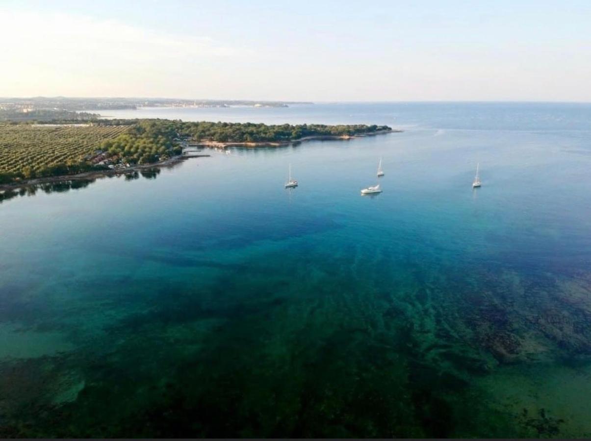 Apartments Vojvoda Poreč Exteriör bild